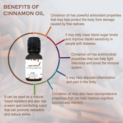 Rare Tempts Cinnamon Fragrance Oil – Warm Spice Aroma for Diffusers & Cozy Creations