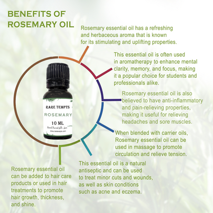Rare Tempts Rosemary Aroma Oil – Herbal Clarity for Diffusers & DIY Wellness
